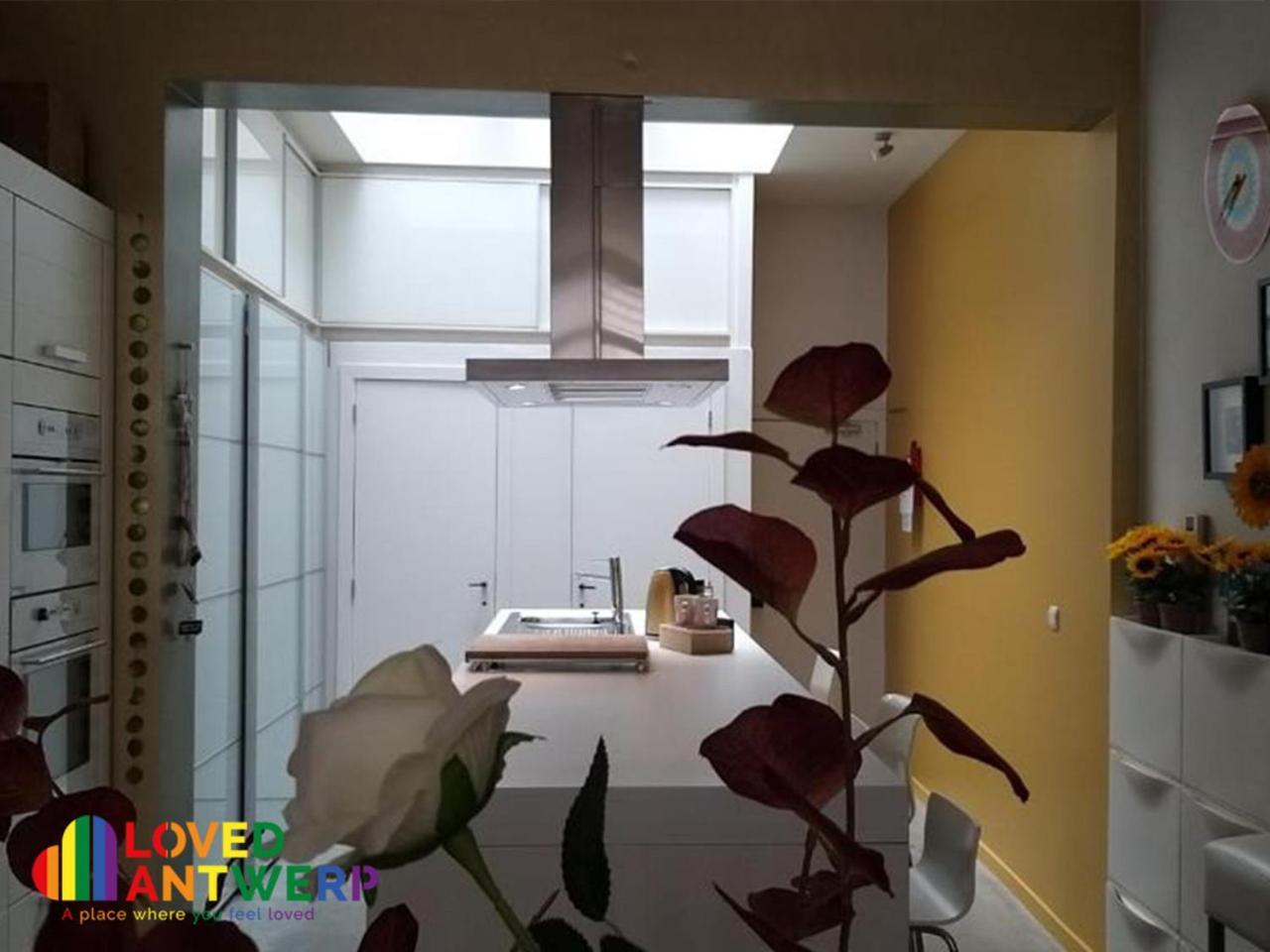 Wellness Loft With Sauna, Jacuzzi, Roof Terrace & Amazing View Daire Anvers Dış mekan fotoğraf
